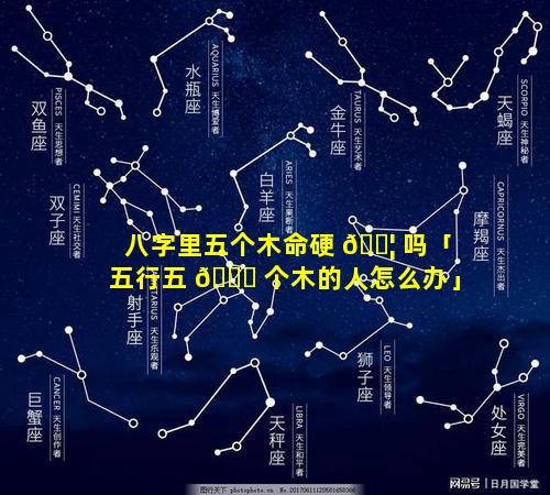 八字里五个木命硬 🐦 吗「五行五 🐈 个木的人怎么办」